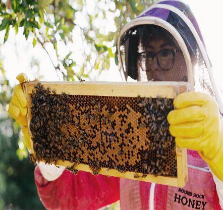 bee keeping